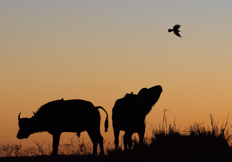 Free Seminars & Tech Demos