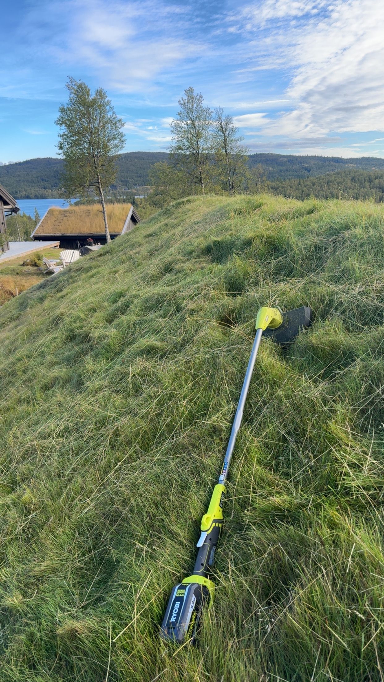 Green hillside with a hedge trimmer, a house, trees, and a blue sky.