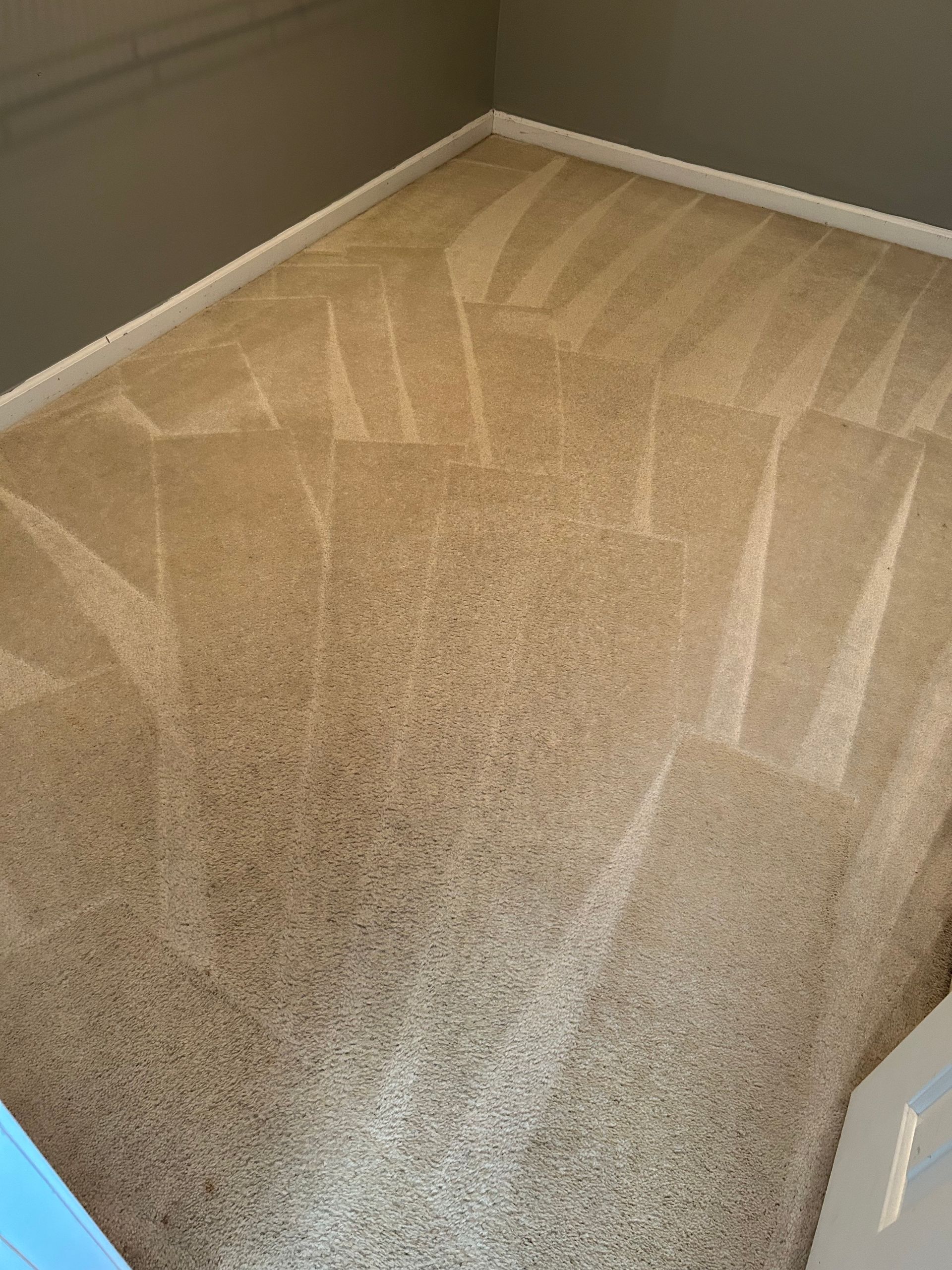 A room with a carpeted floor and a blue door.