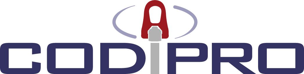 Logotipo de CDI Pro con un ícono rojo y gris sobre texto azul.