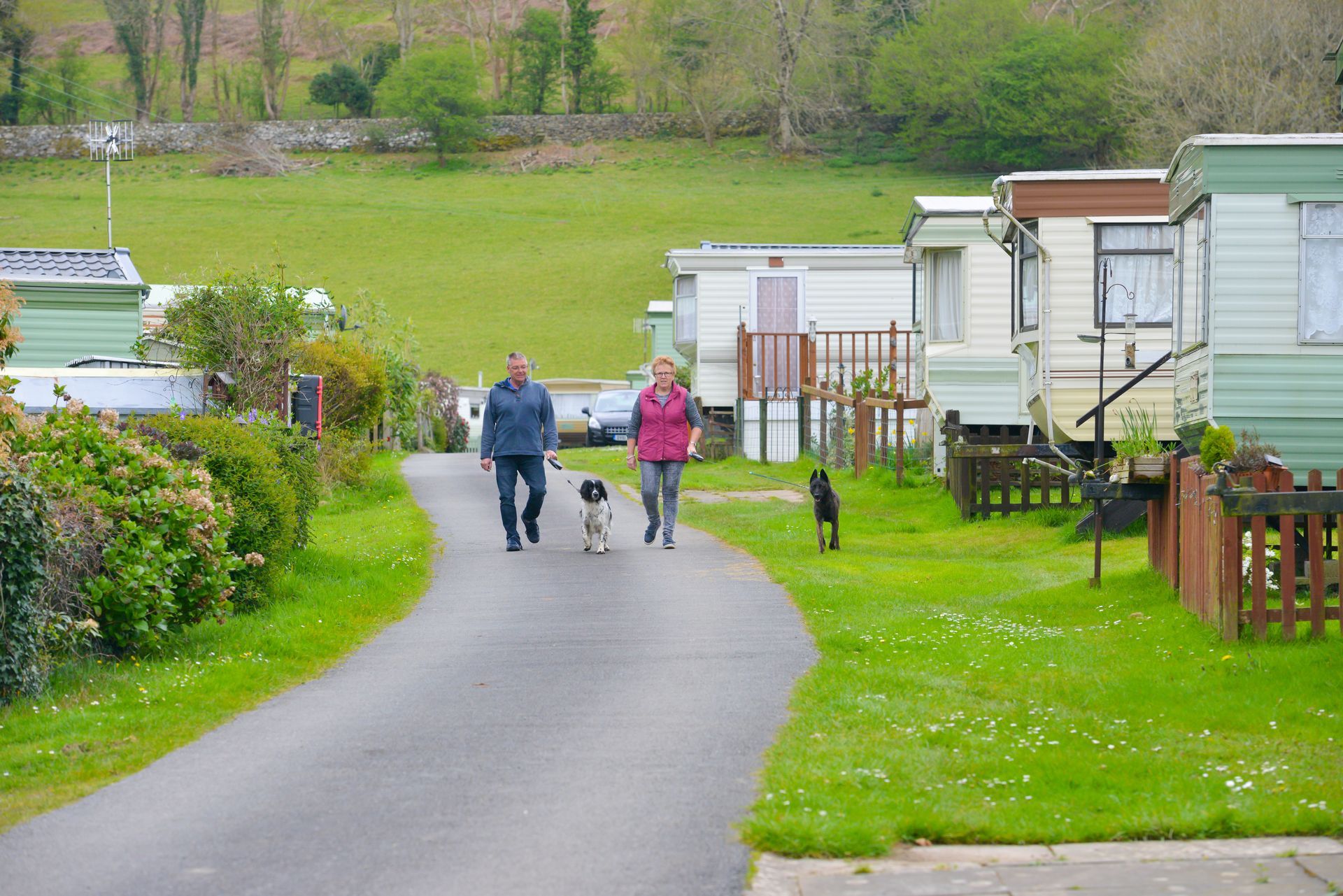 A man and a woman are walking a dog down a road.