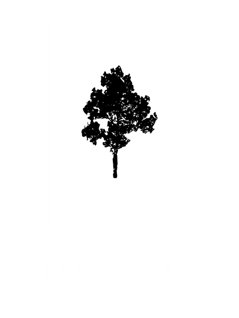 Silhouette of a tree, mostly foliage, against a white background.
