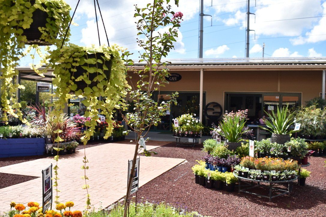 Cafe Gardenia at Ourimbah & Warners Bay.