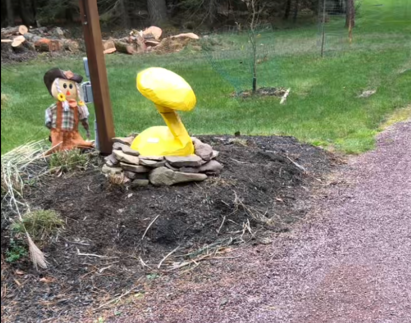 Mushroom carved out of a tree removed by Keystone Tree Specialists in Monroe County, PA