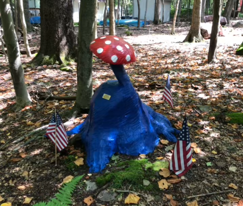 Mushroom carved out of a tree removed by Keystone Tree Specialists in Monroe County, PA