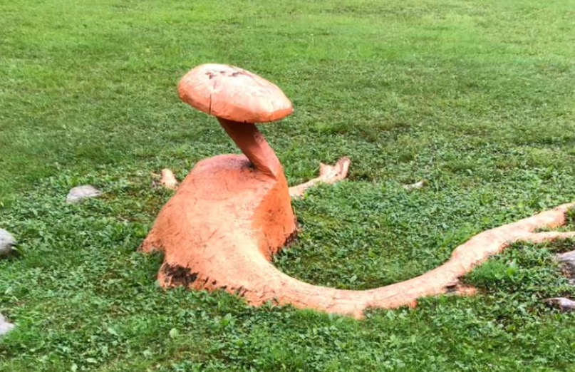Mushroom carved out of a tree removed by Keystone Tree Specialists in Monroe County, PA