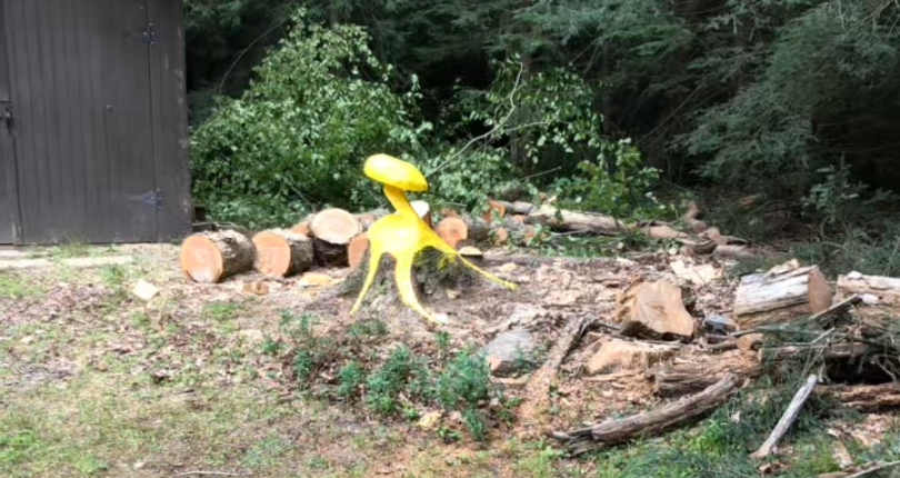 Mushroom carved out of a tree removed by Keystone Tree Specialists in Monroe County, PA
