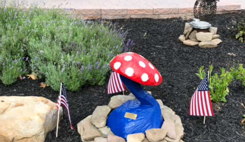 Mushroom carved out of a tree removed by Keystone Tree Specialists in Monroe County, PA