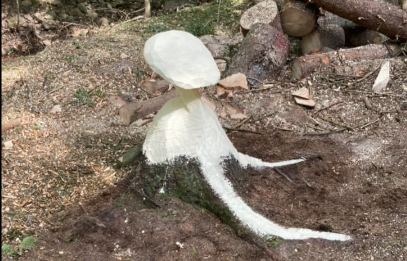 Mushroom carved out of a tree removed by Keystone Tree Specialists in Monroe County, PA
