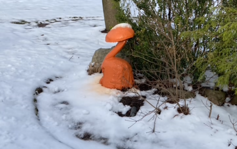 Mushroom carved out of a tree removed by Keystone Tree Specialists in Monroe County, PA