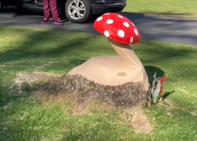 Mushroom carved out of a tree removed by Keystone Tree Specialists in Monroe County, PA