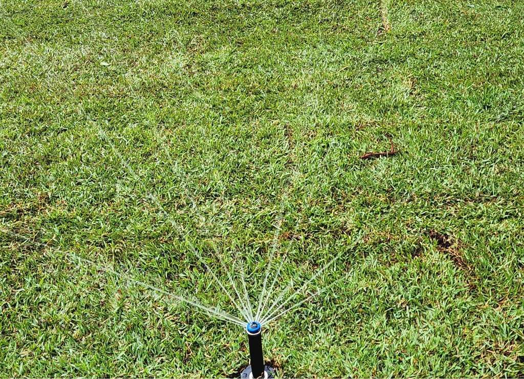 Sprinkler Watering Green Lawn, Water Spraying Outward — On The Mark Landscaping in Branyan, QLD