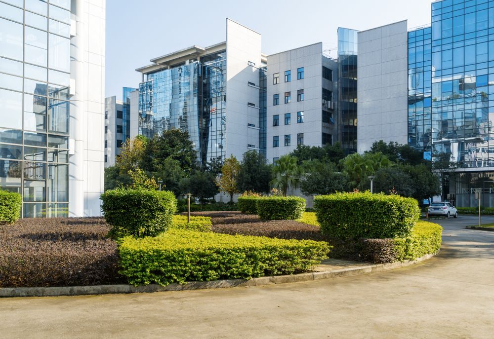 Path Lined With Rocks and Red Mulch Leads Through Landscaped Yard — On The Mark Landscaping in Branyan, QLD