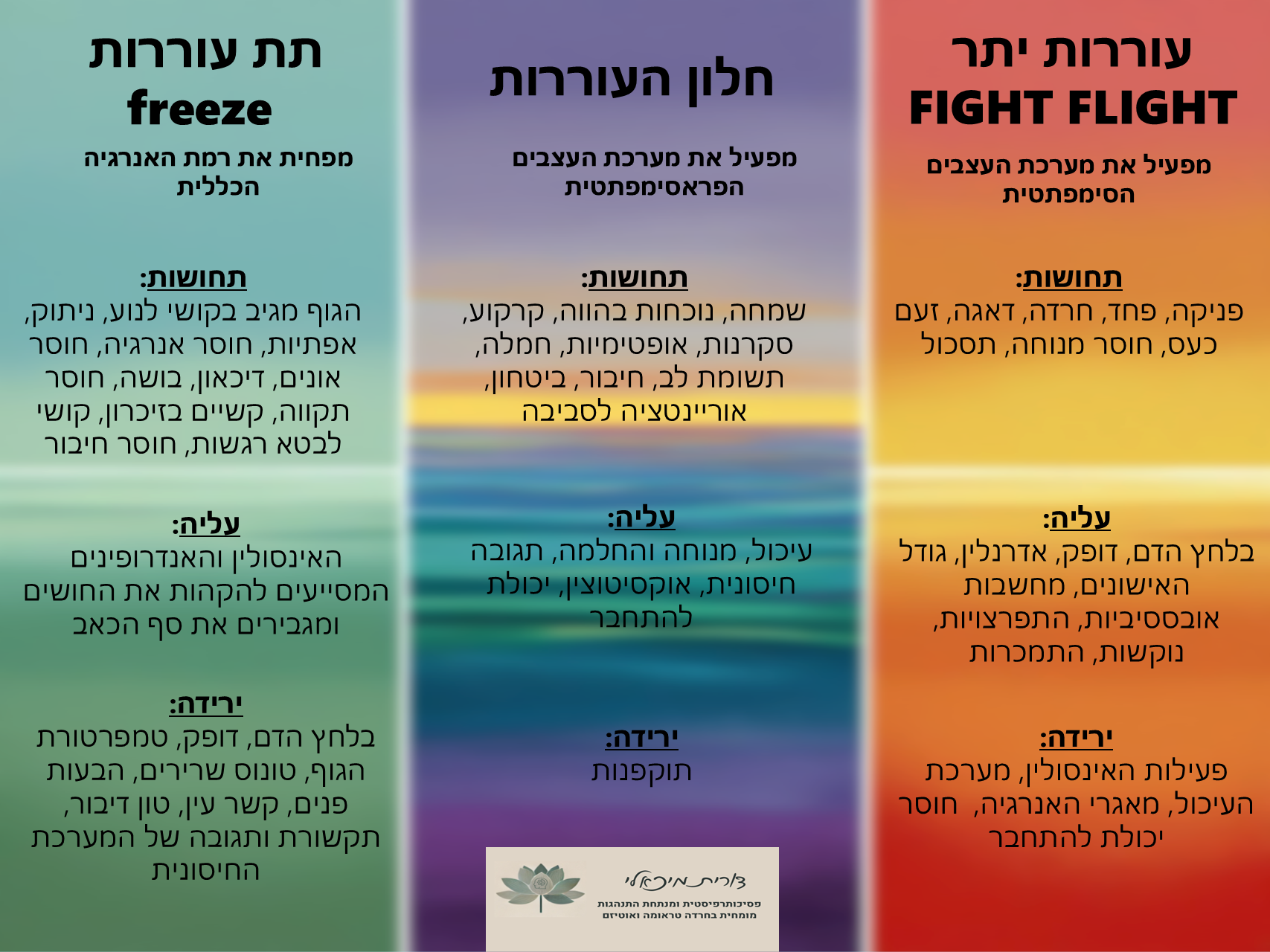 חלון העוררות ומנגנוני ההגנה חולון העוררות איל מגיבים בזמן התקף חרדה