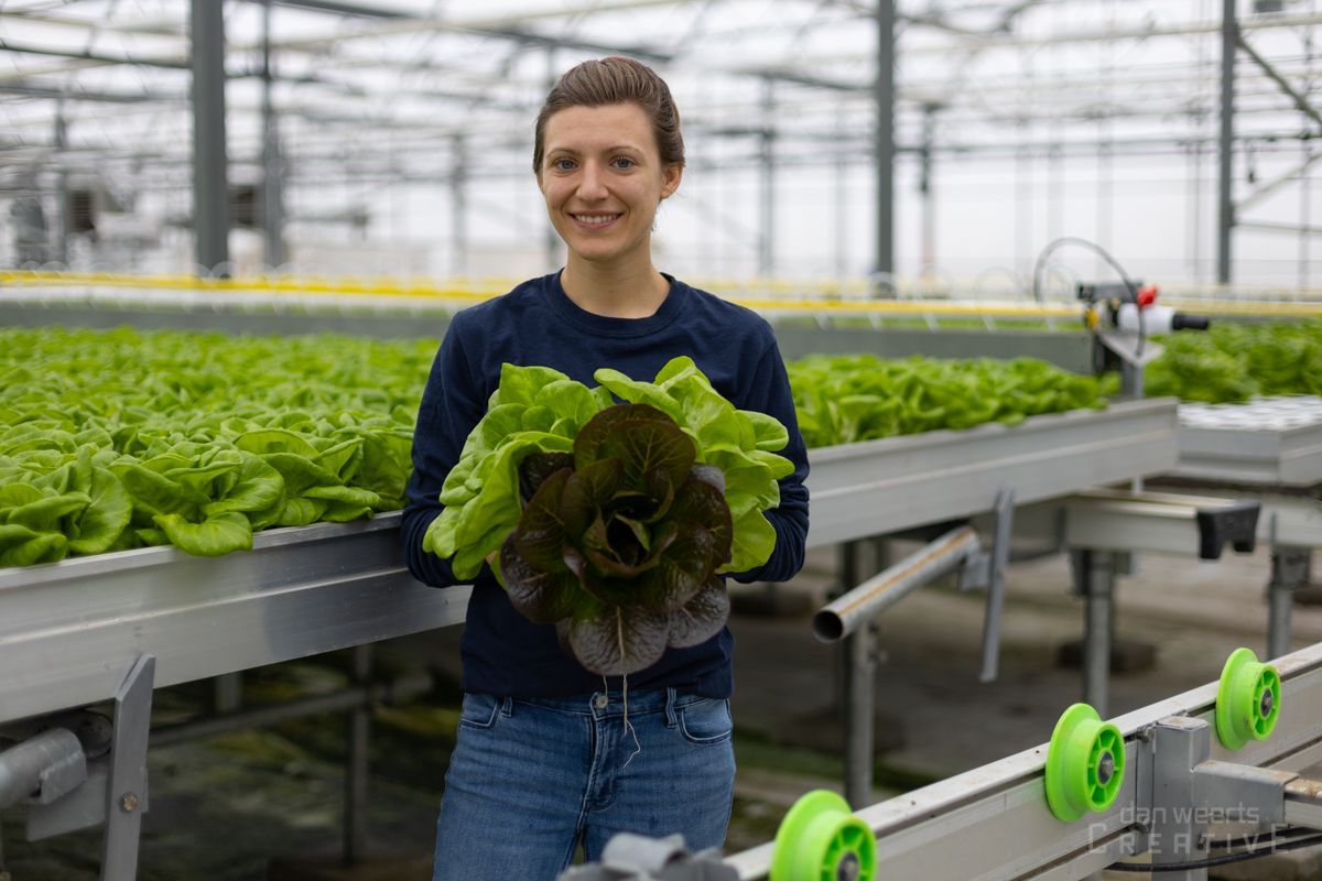 A woman is holding a bunch of lettuce in a greenhouse.