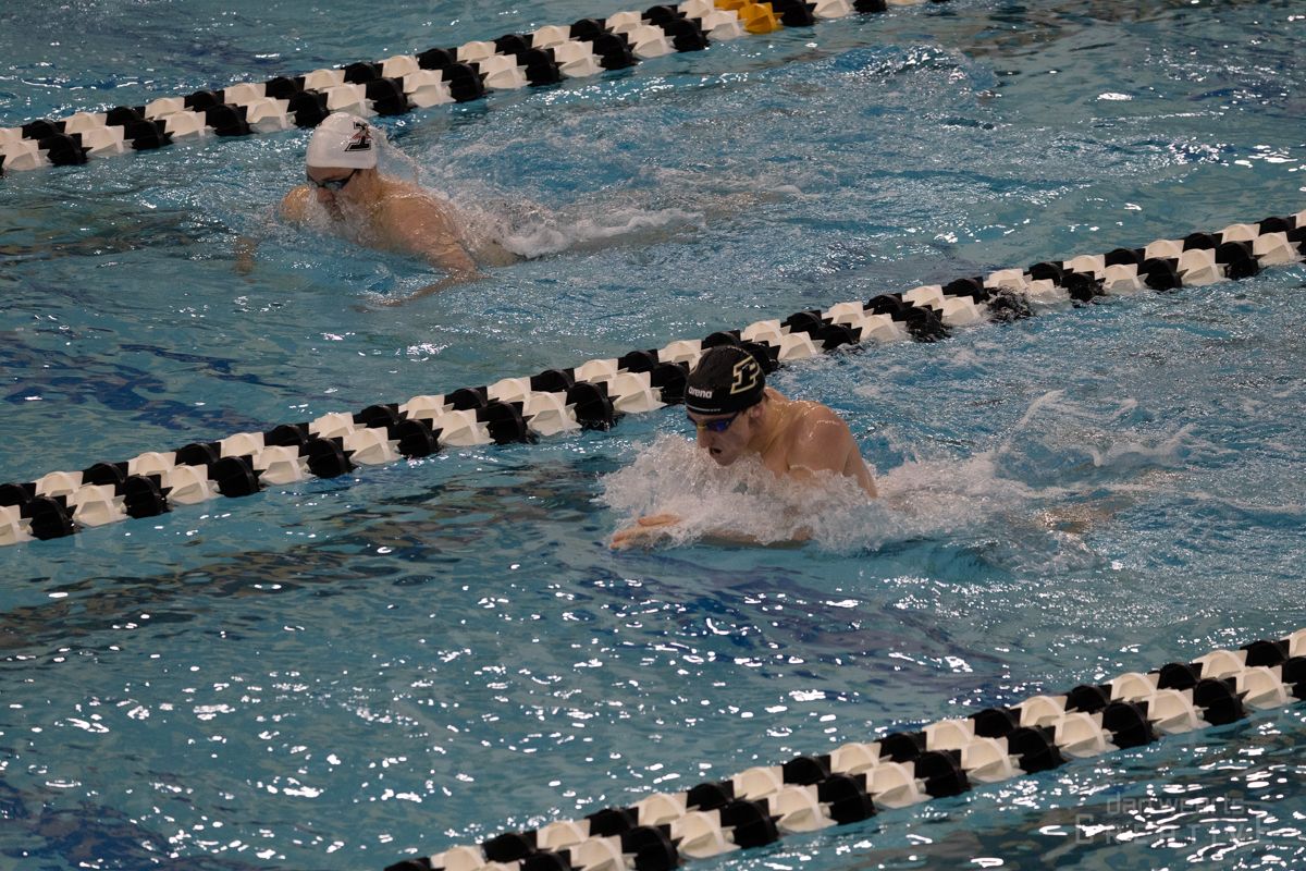 A group of people are swimming in a swimming pool.