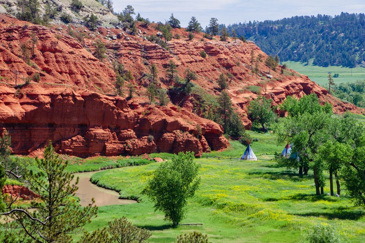 A tent is sitting in the middle of a grassy field.