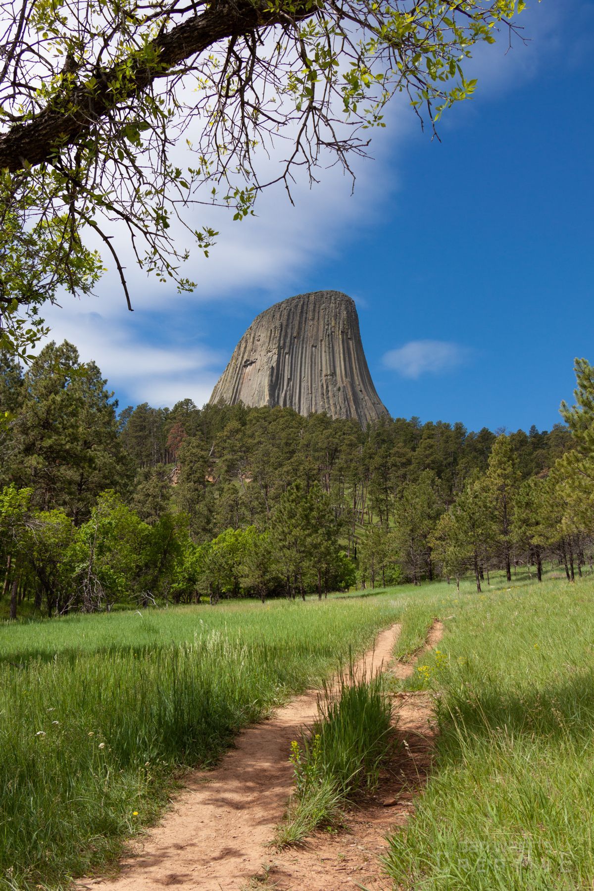 A dirt path leading to a mountain in the distance.