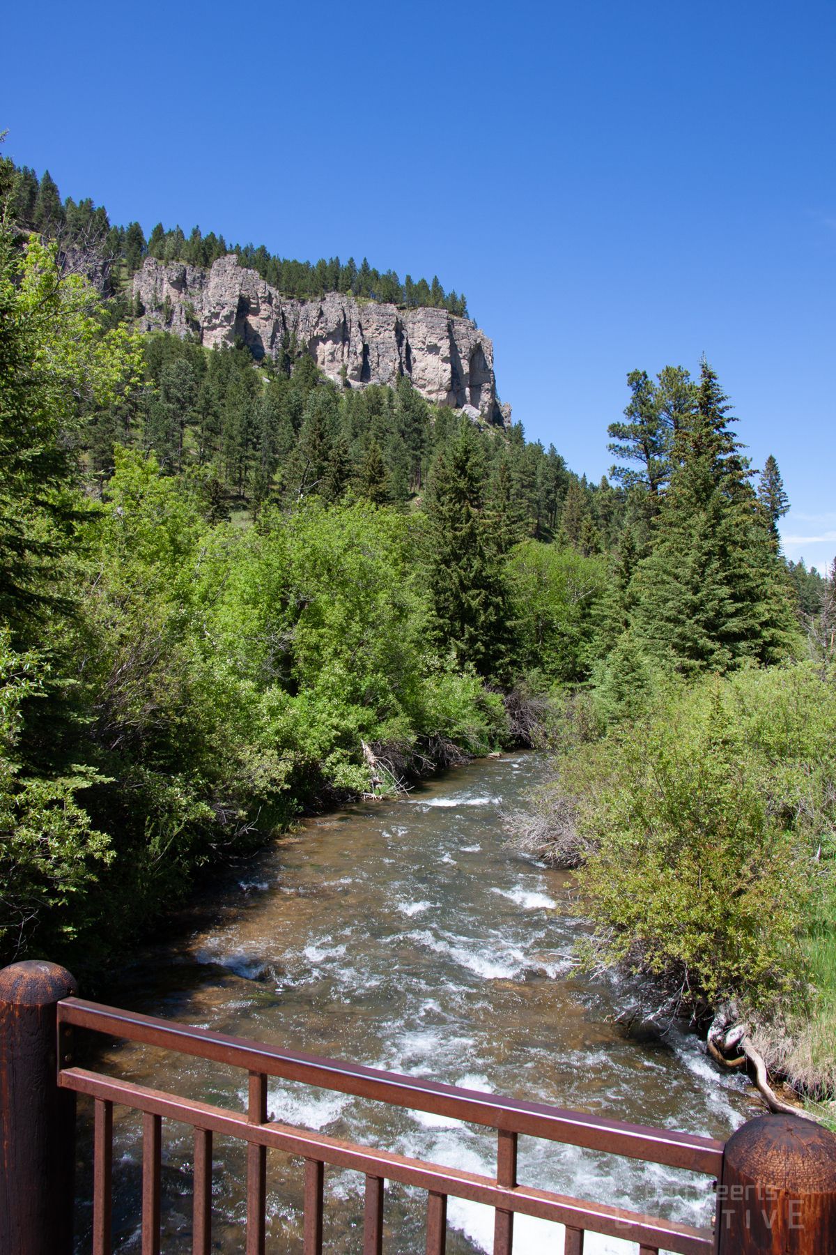 A river flowing through a forest with a mountain in the background