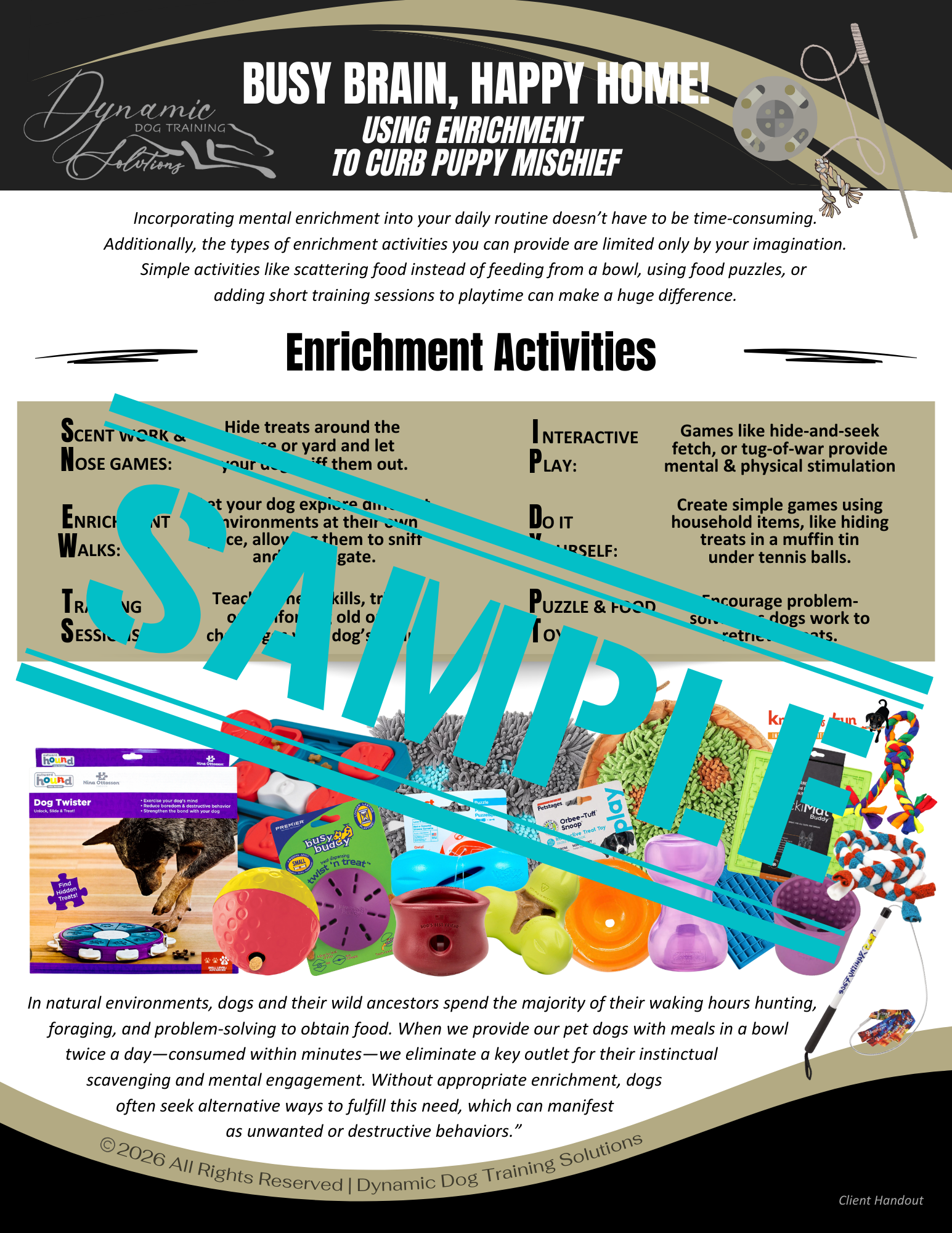 Busy Brain, Happy Home! Using Enrichment to Curb Puppy Mischief