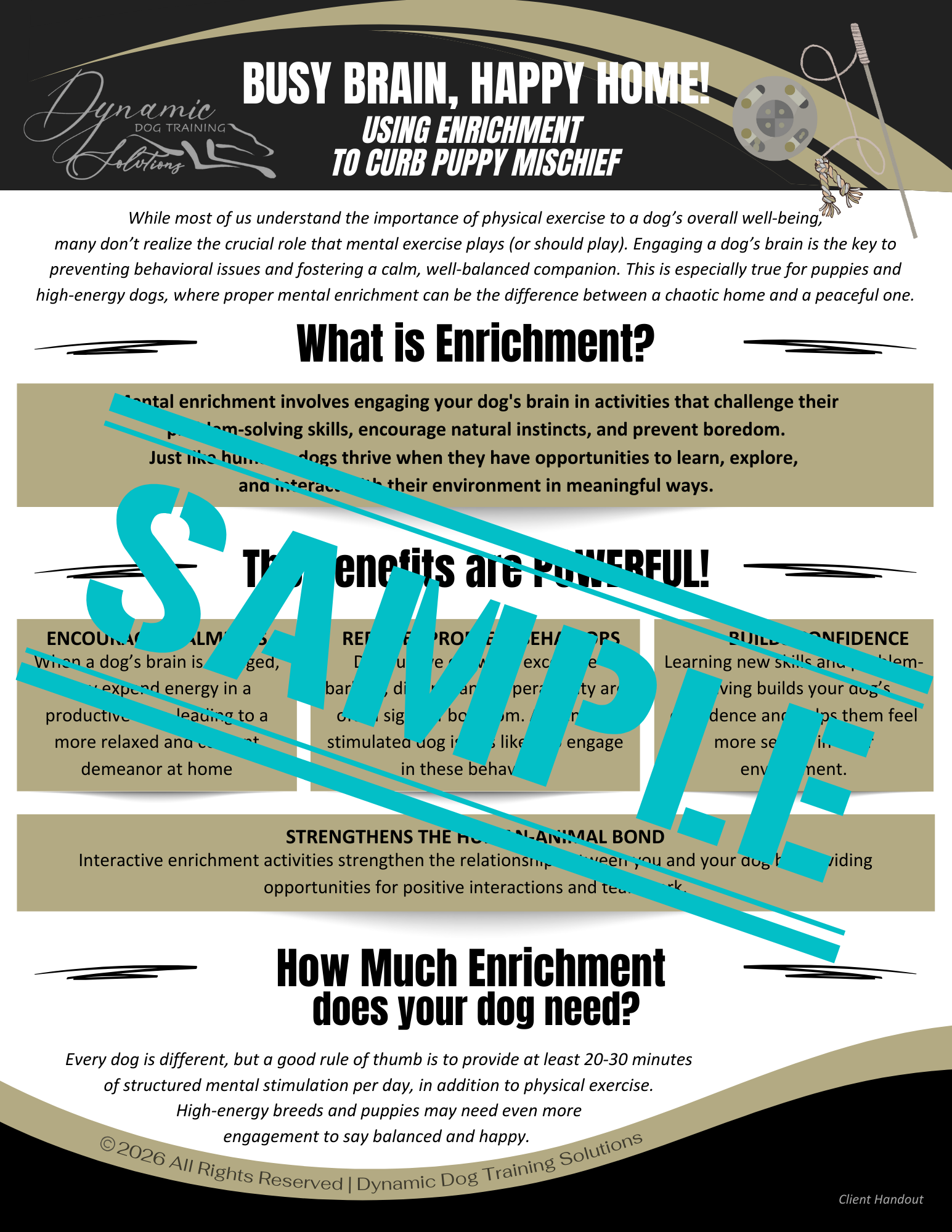 Busy Brain, Happy Home! Using Enrichment to Curb Puppy Mischief