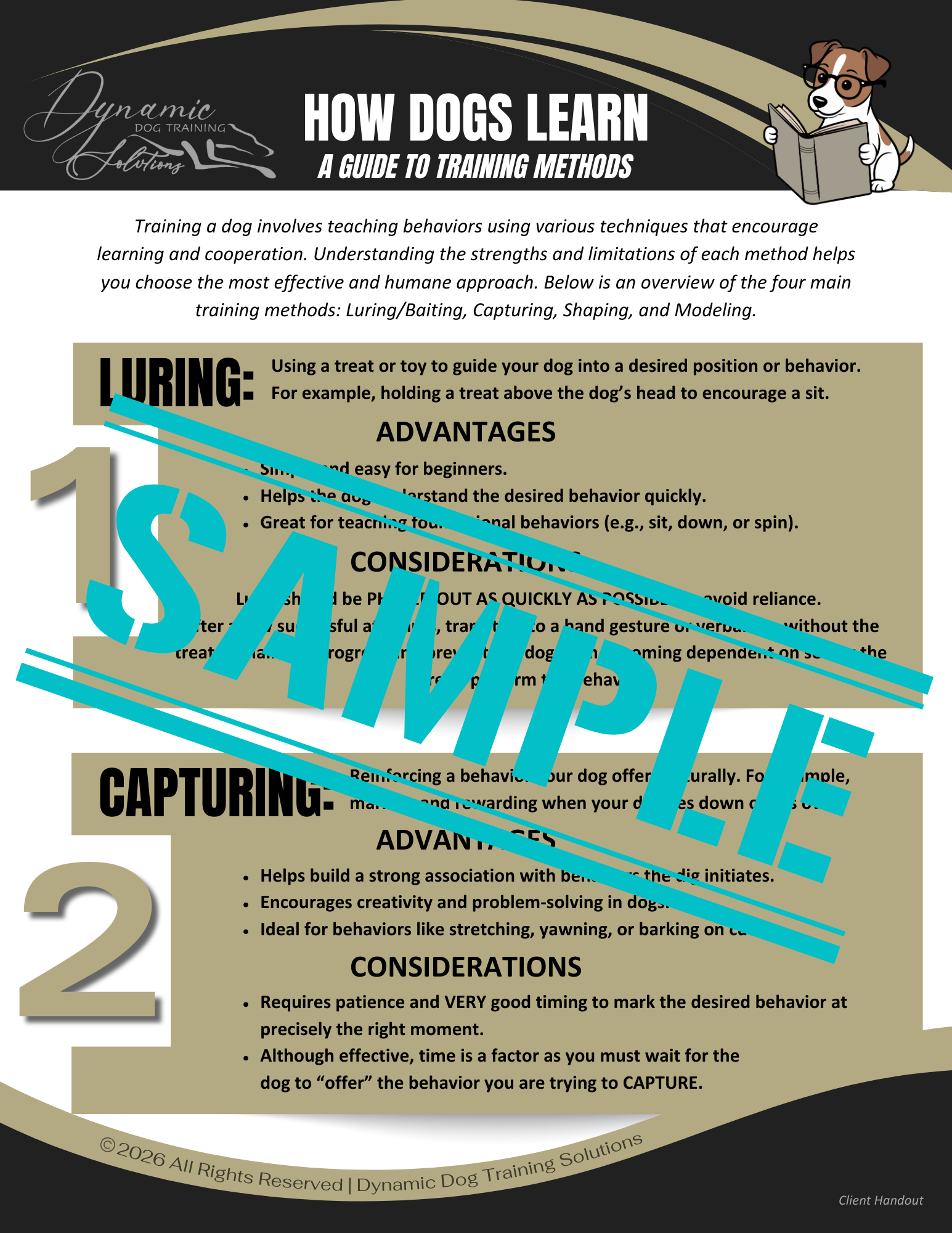 How Dogs Learn: A Guide to Training Methods