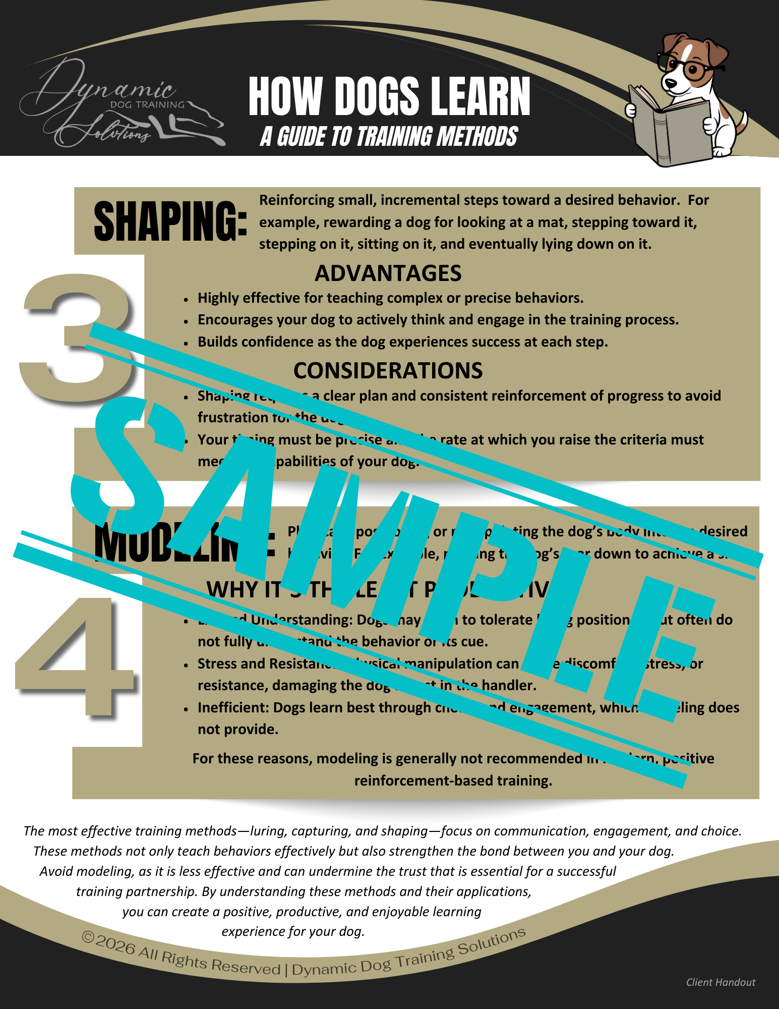 How Dogs Learn: A Guide to Training Methods