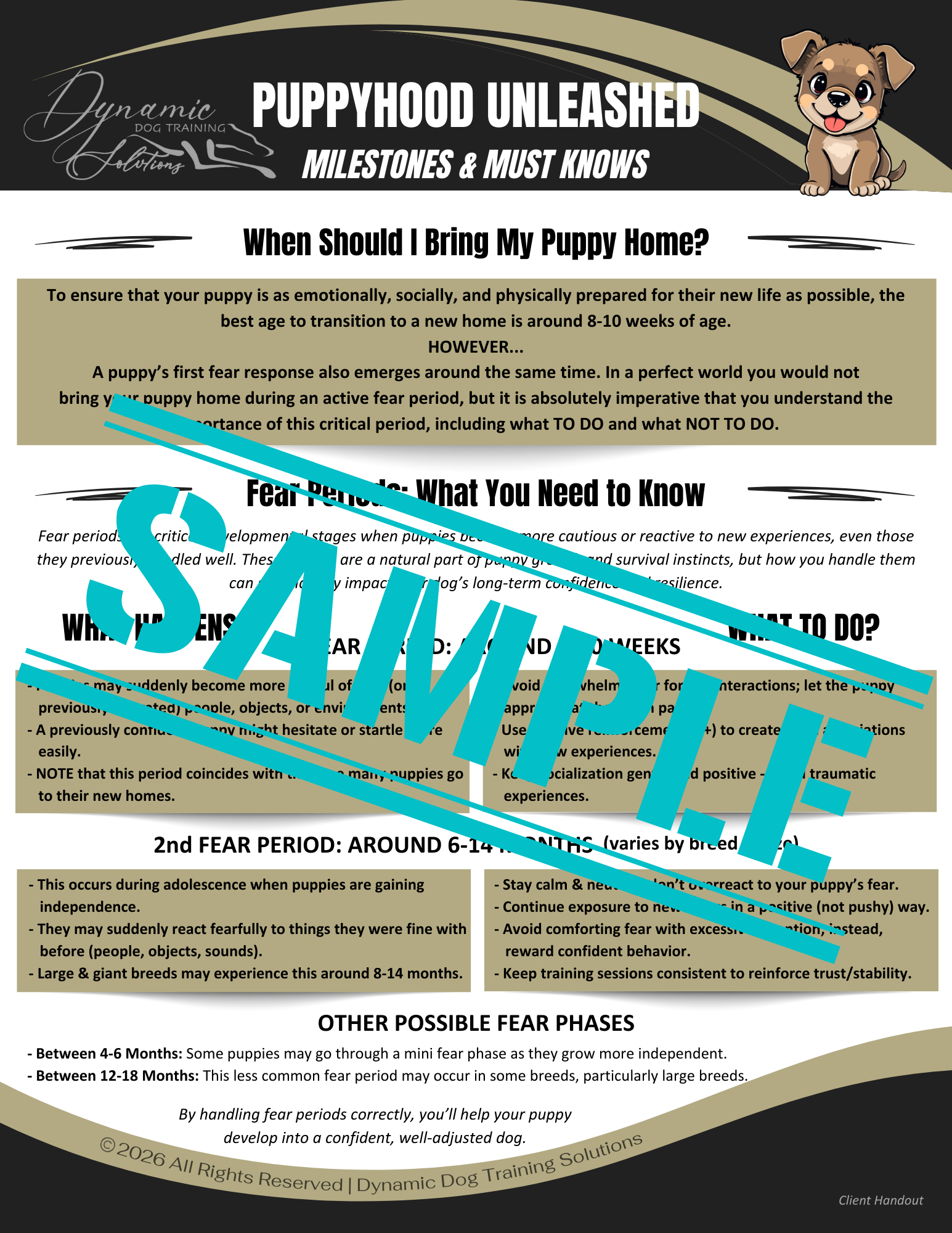 Puppyhood Unleashed: Milestones & Must Knows