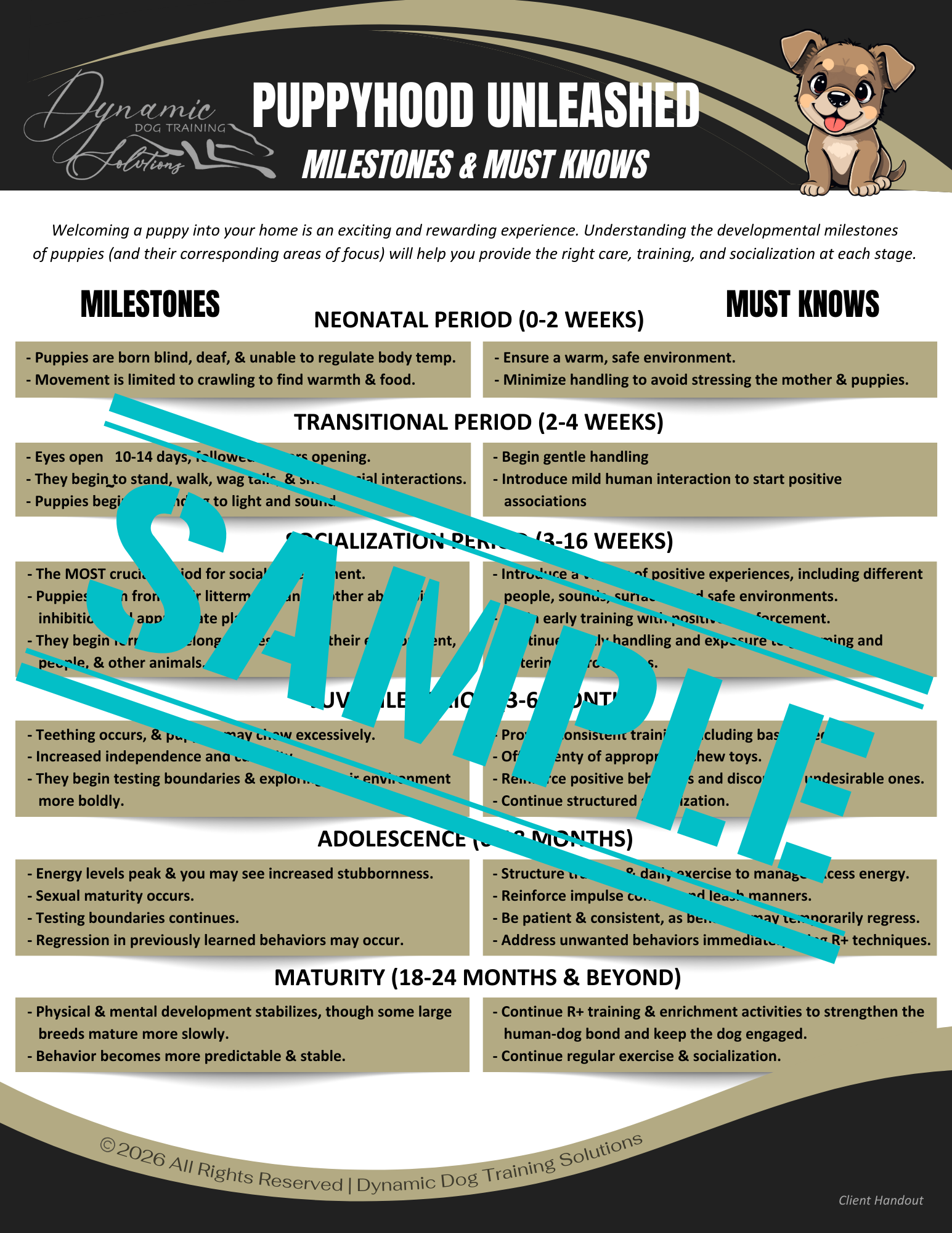 Puppyhood Unleashed: Milestones & Must Knows