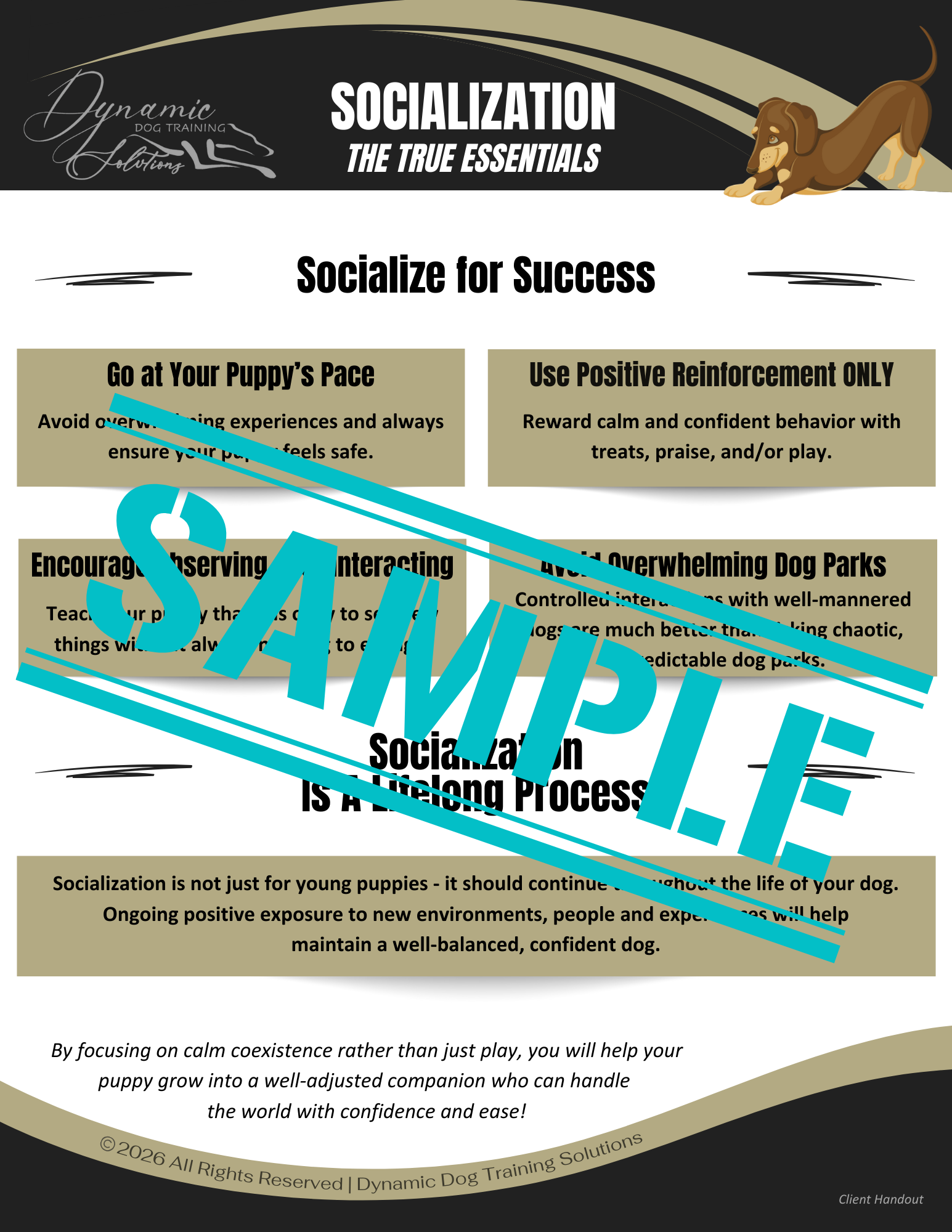 Socialization: The True Essentials