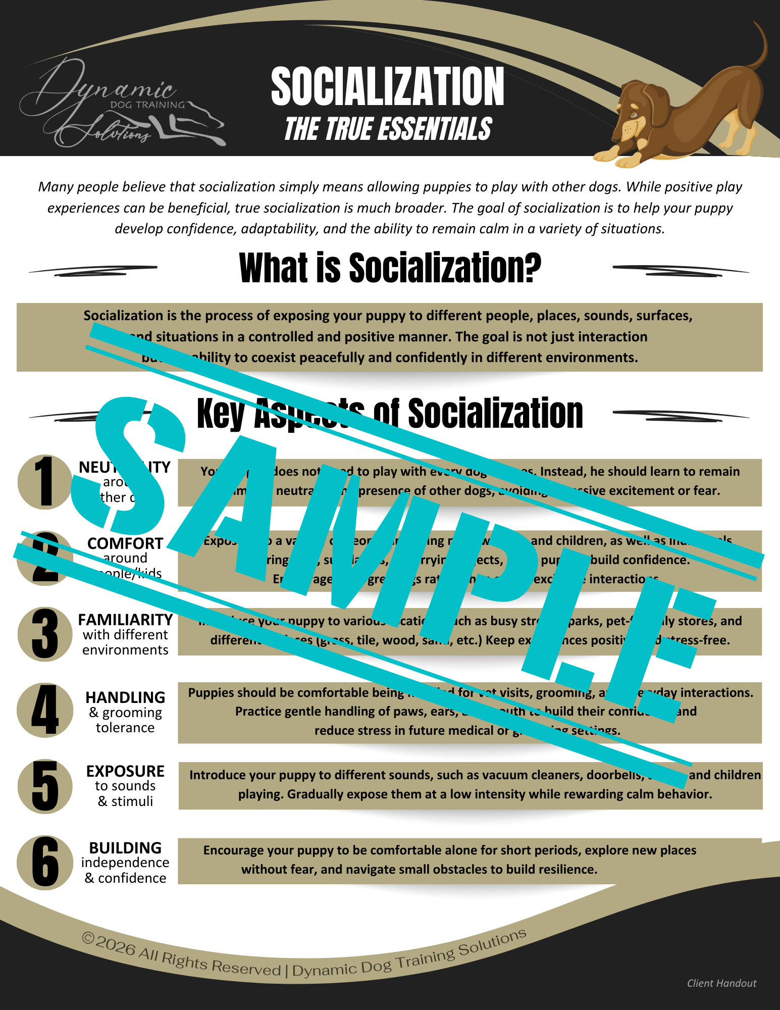 Socialization: The True Essentials