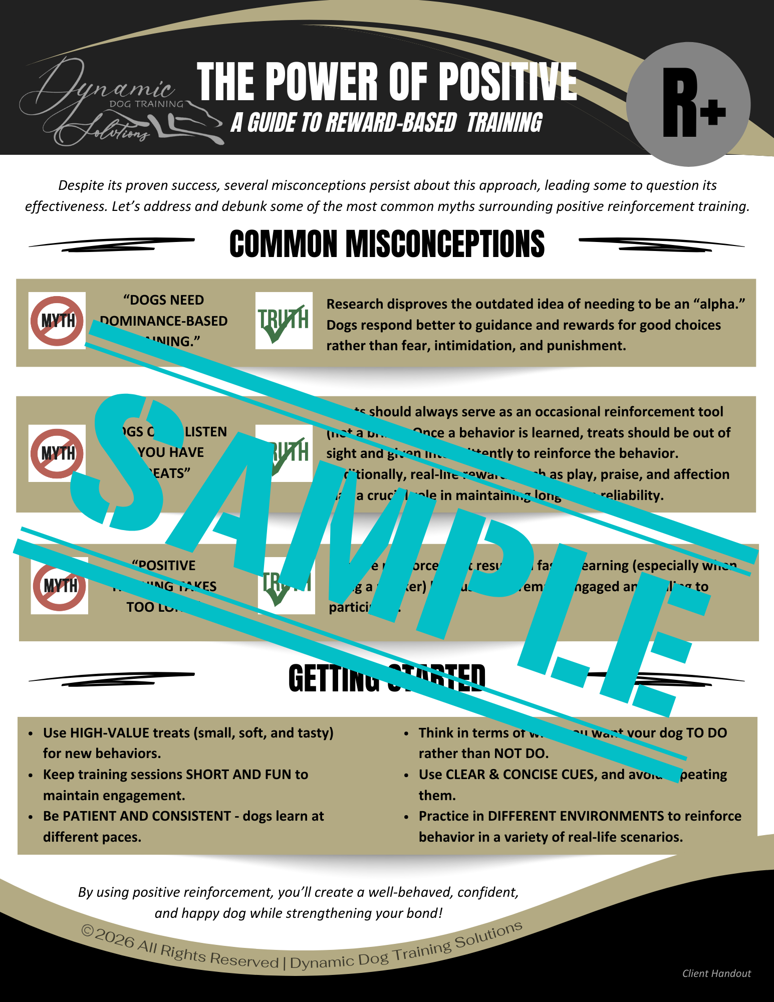 The Power of Positive: A Guide to Reward-Based Dog Training