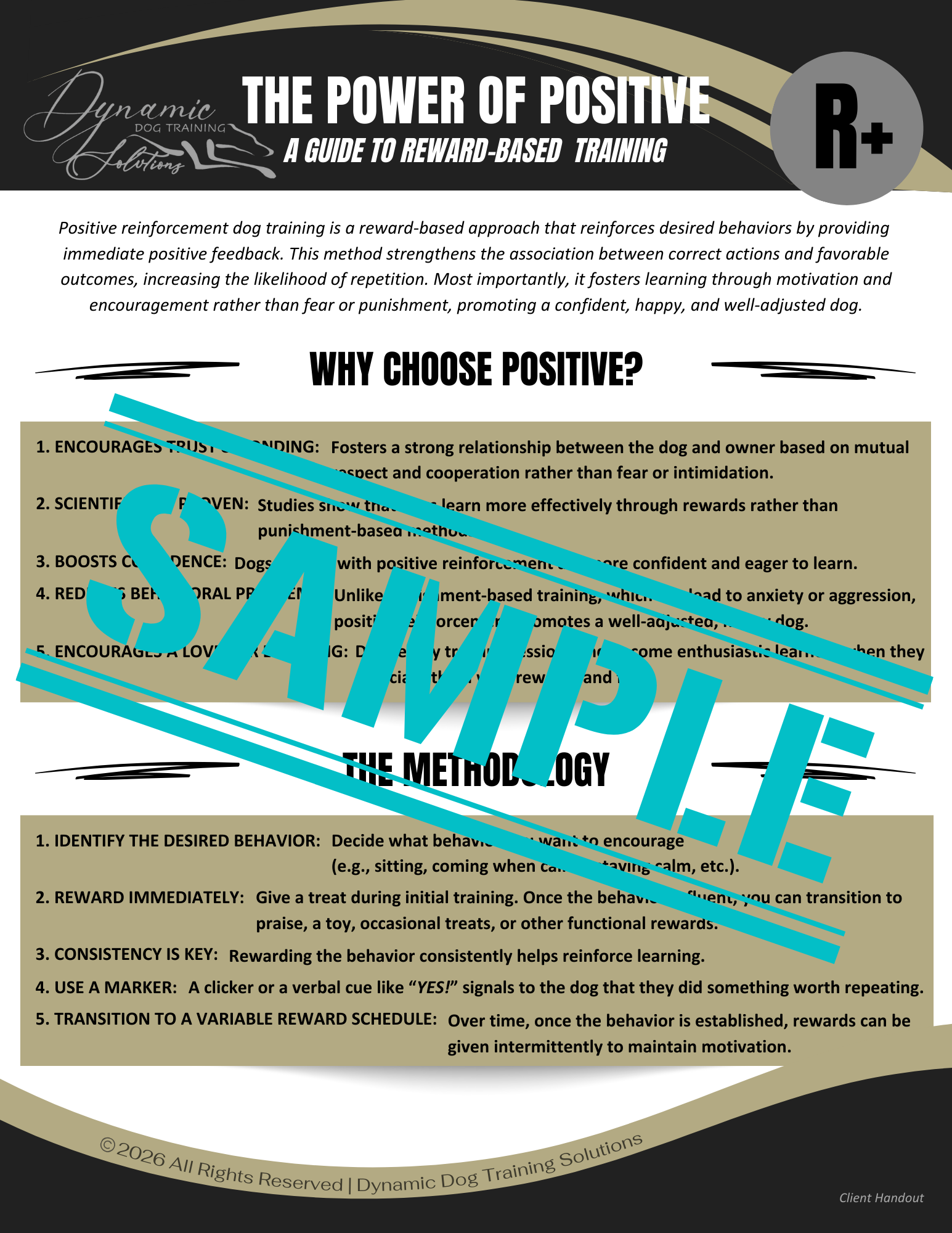 The Power of Positive: A Guide to Reward-Based Dog Training