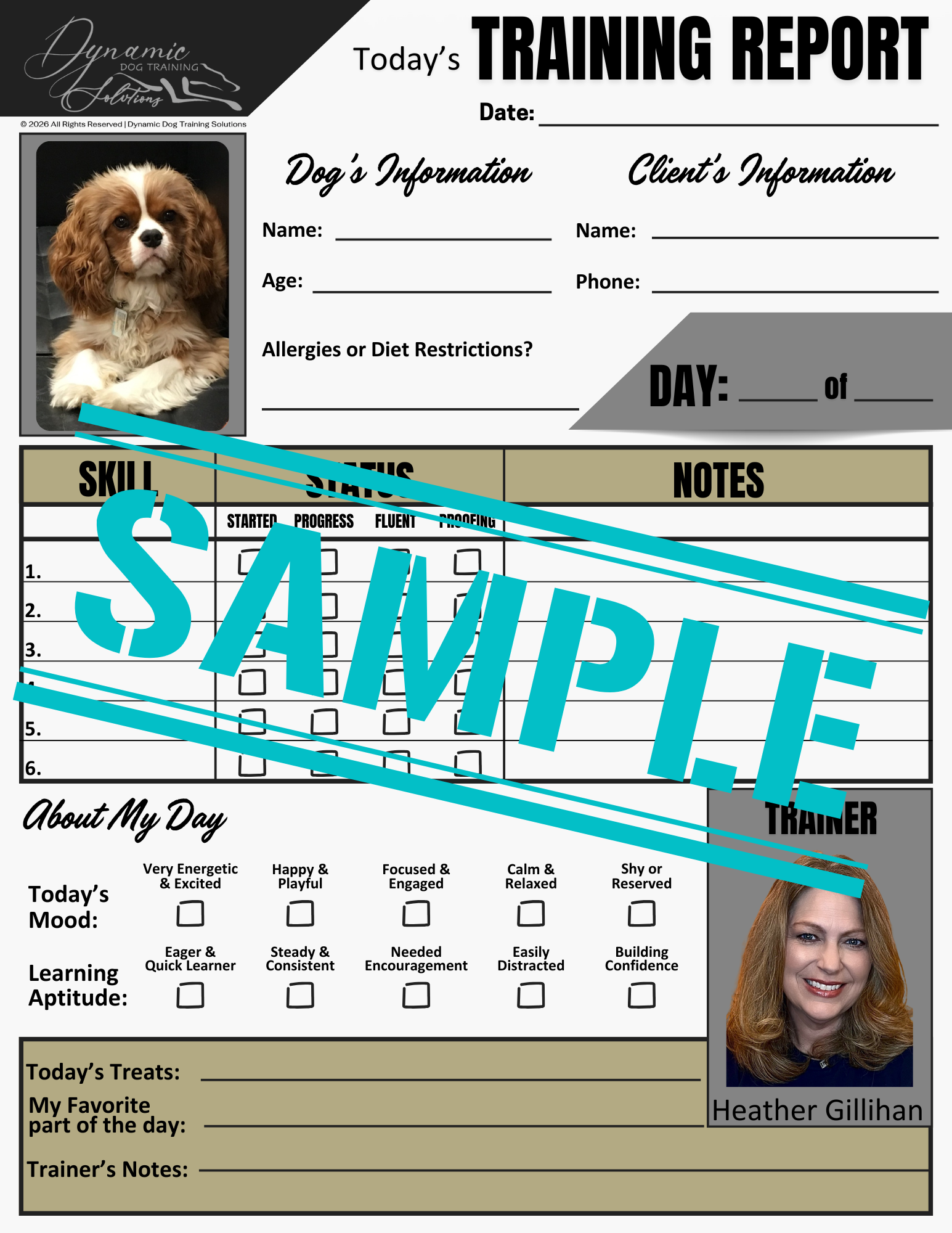 Daily Training Report (Fillable PDF)