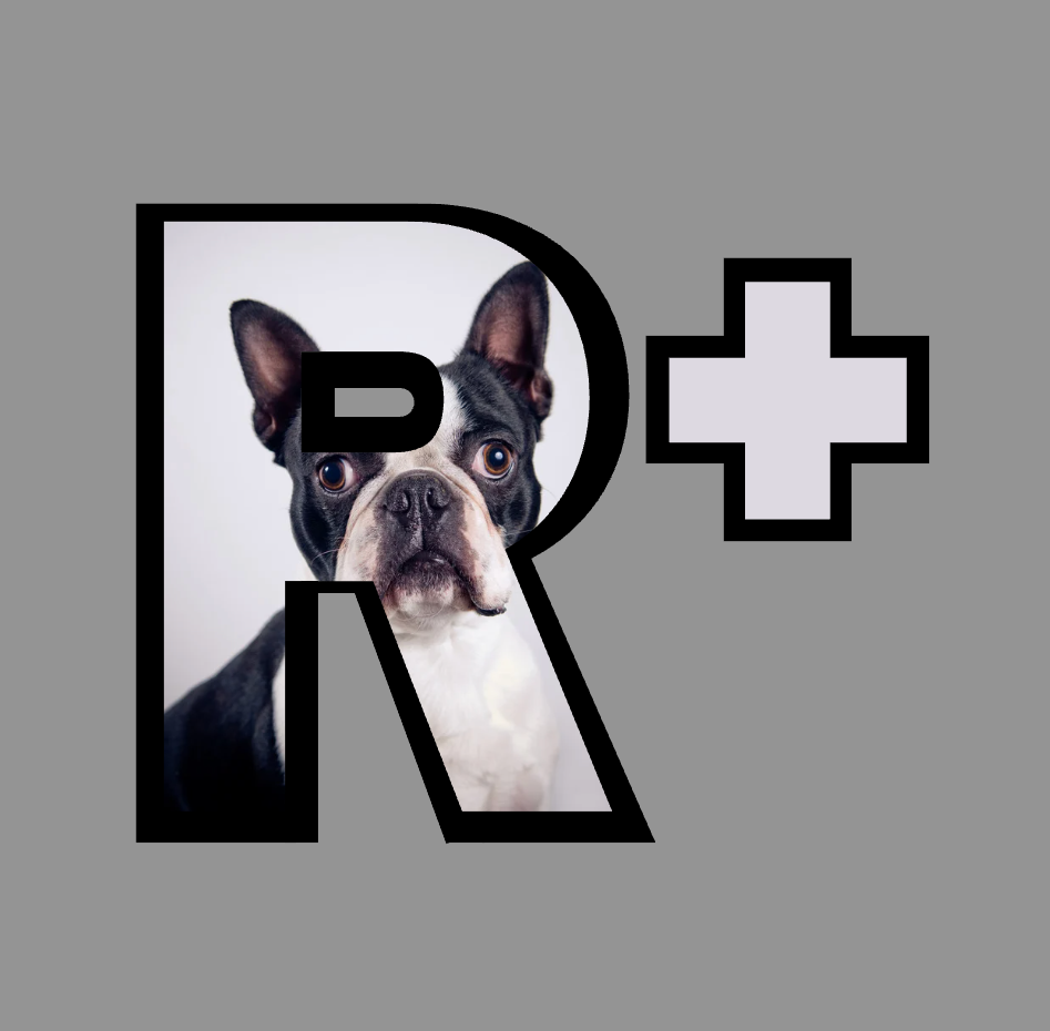 R+ frame with dog photo