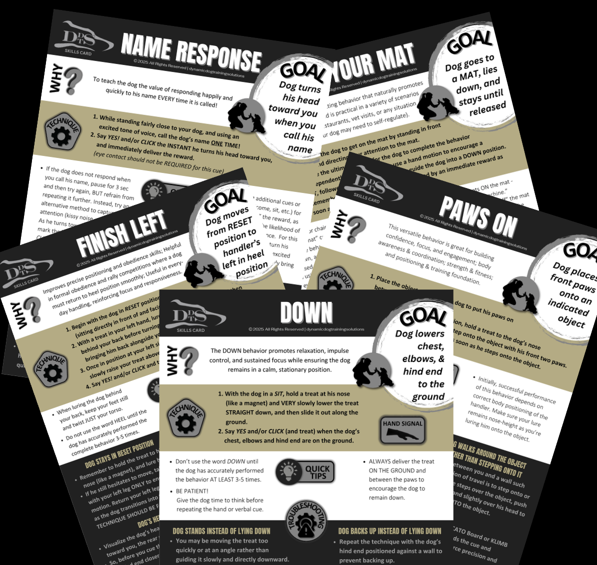 Trainer Skills Cards