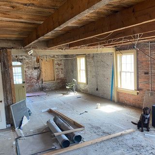 A dog is standing in a room that is being remodeled.
