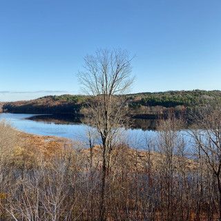 A large body of water surrounded by trees on a sunny day.