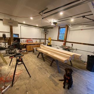 A dog is sitting in a room with a lot of wood.