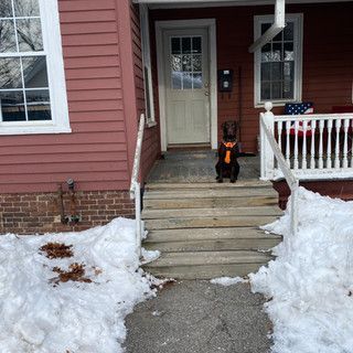 A dog wearing a tie is sitting on the porch of a house covered in snow.