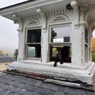 A dog is sitting on the window sill of a building.