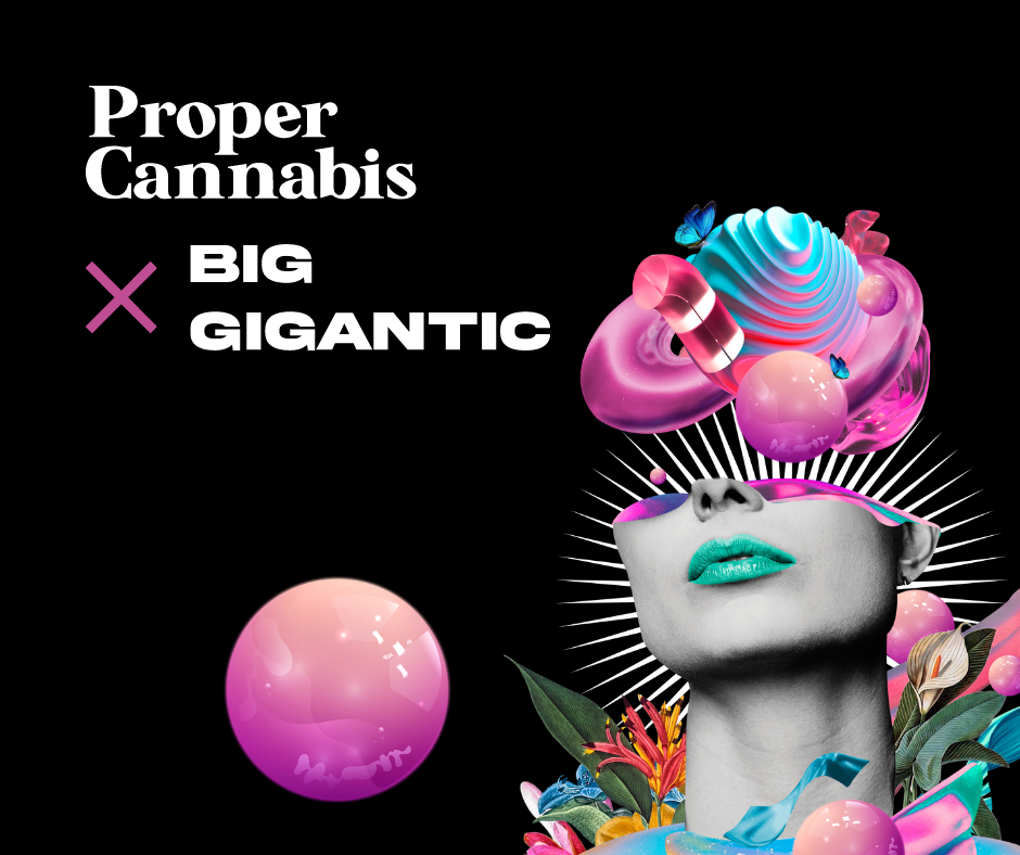 Proper Cannabis and Big Gigantic Collaboration