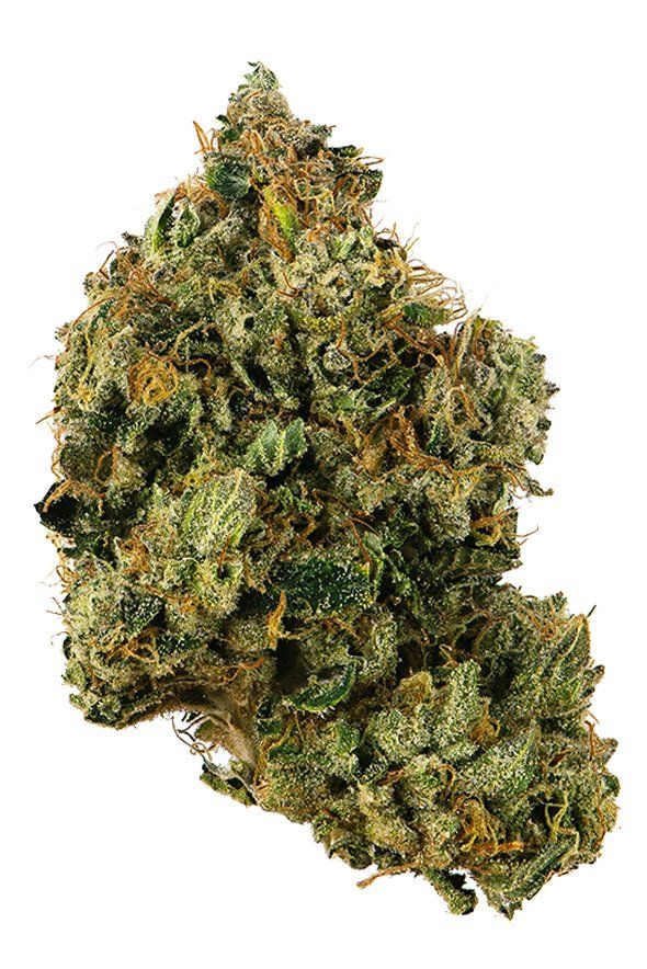 Chem 91 Strain | Proper Cannabis