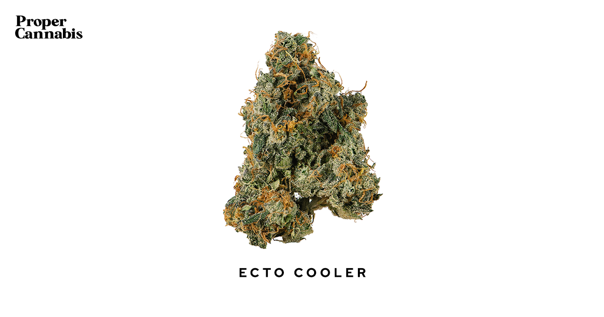 ecto cooler strain effects
