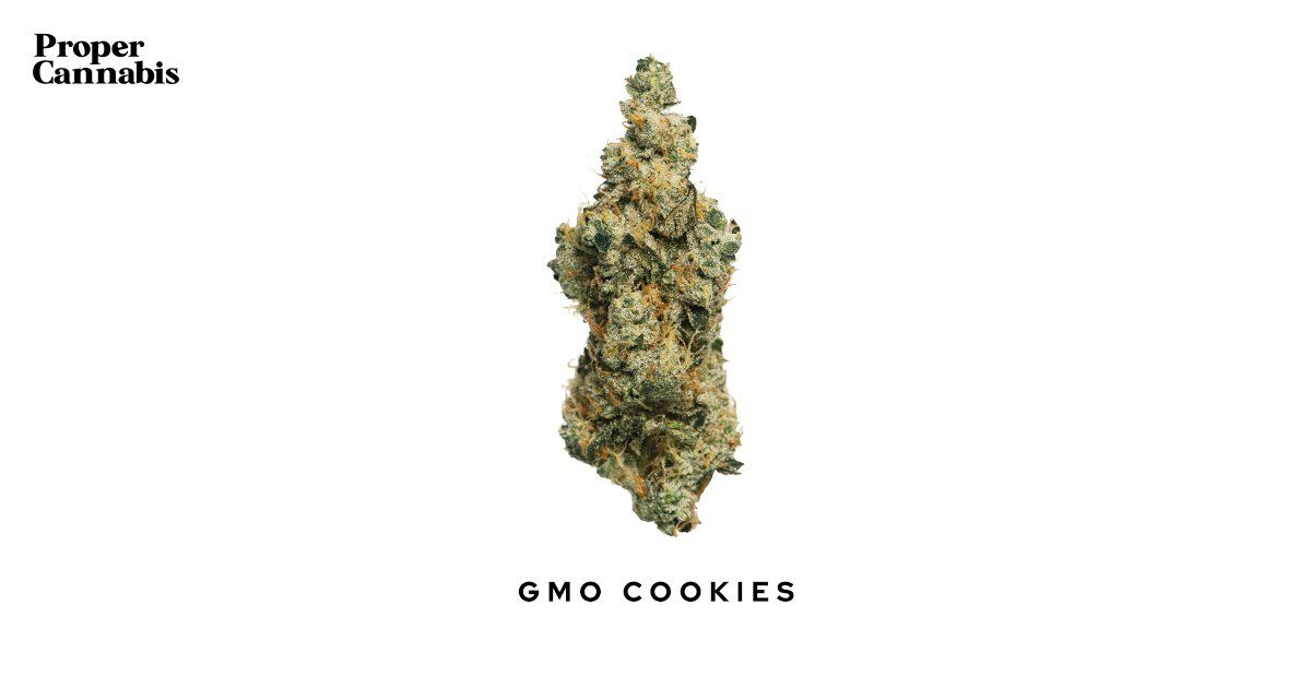 GMO Cookies Strain | Proper Cannabis