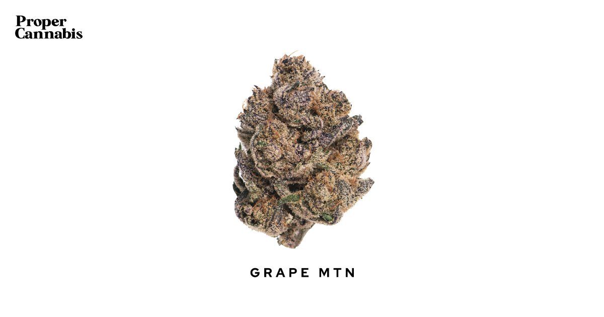 Grape MTN Strain Proper Cannabis