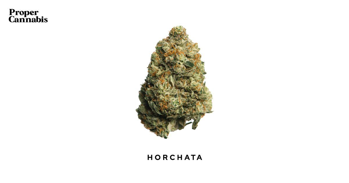 Horchata Strain Proper Cannabis