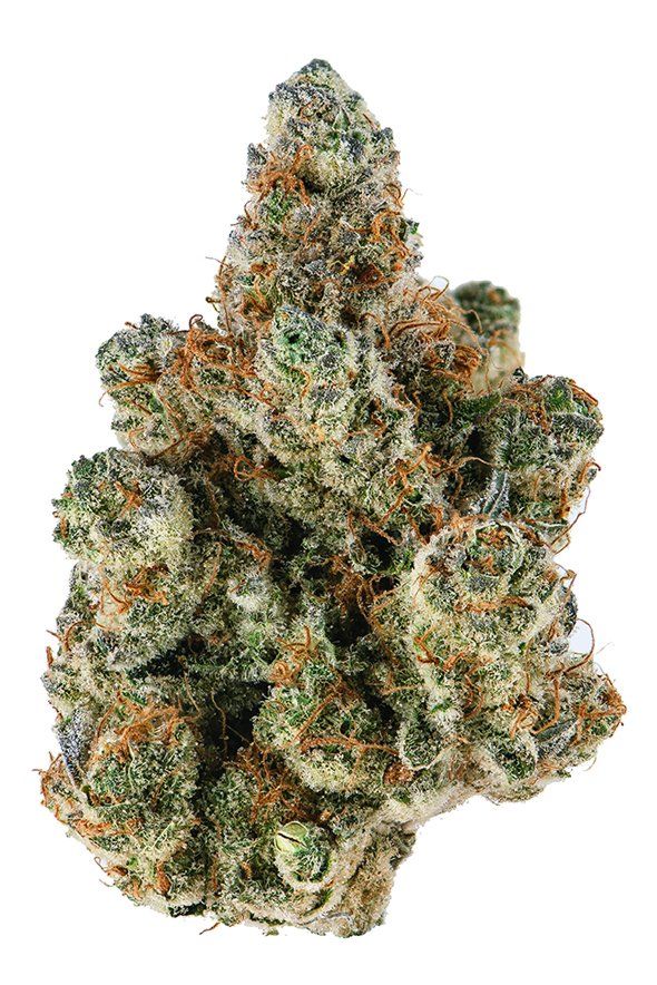Girl Scout Cookies Marijuana Strain History and Information - PotGuide.com