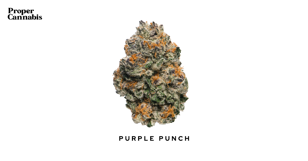 業販30ml】Purple Punch テルペンプロファイル プレミアム gii.pe