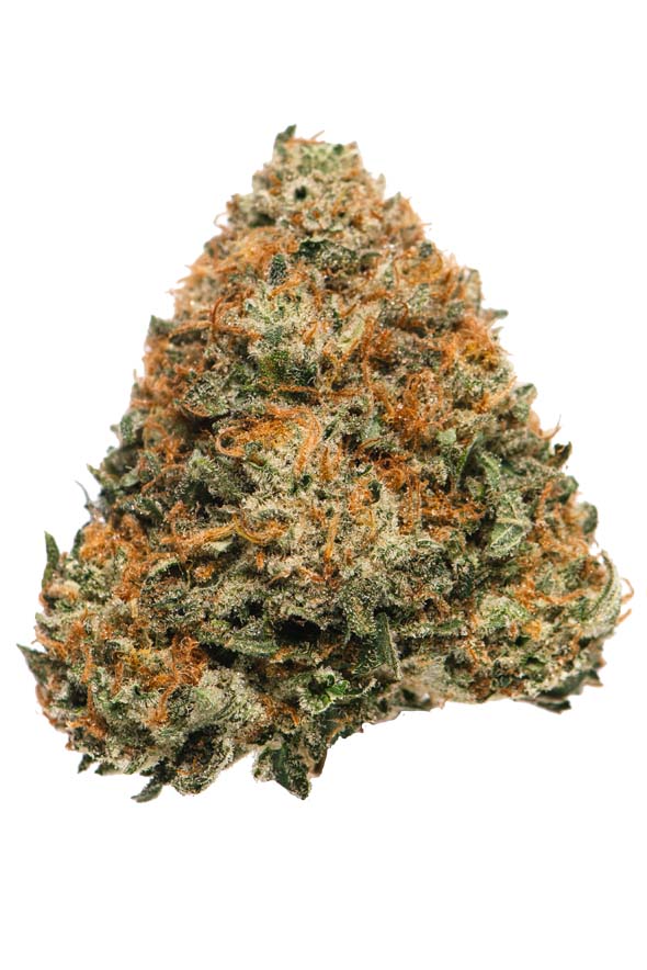 Stardawg Strain | Proper Cannabis